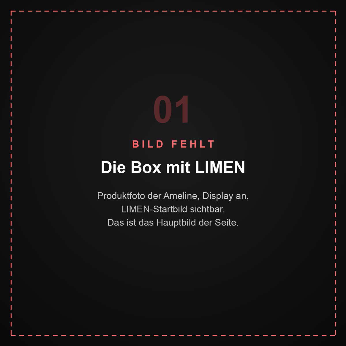 Platzhalter: Ameline ITK BOX mit LIMEN-Startbild