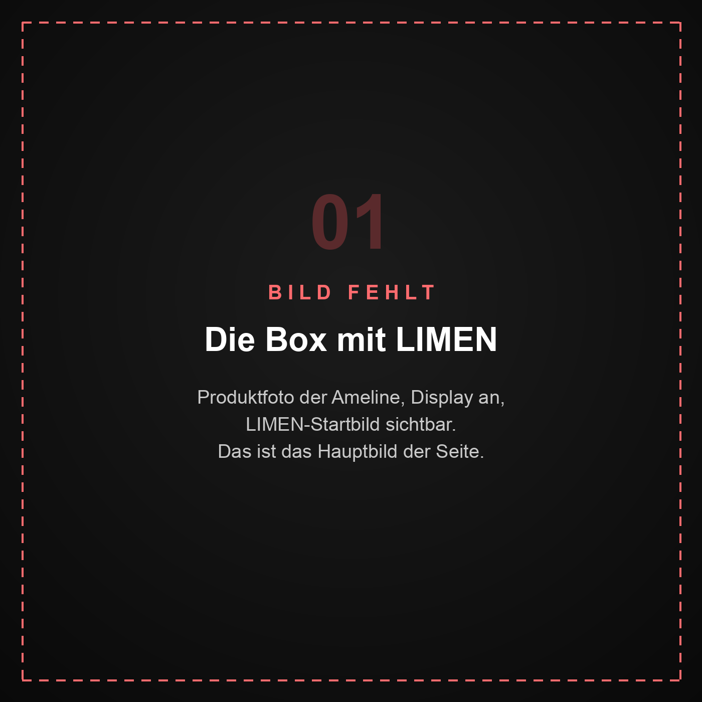 Platzhalter: Ameline ITK BOX mit LIMEN-Startbild